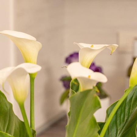 Oasis Of Peace And Relaxation Ii. Apartment Icici Bagian luar foto