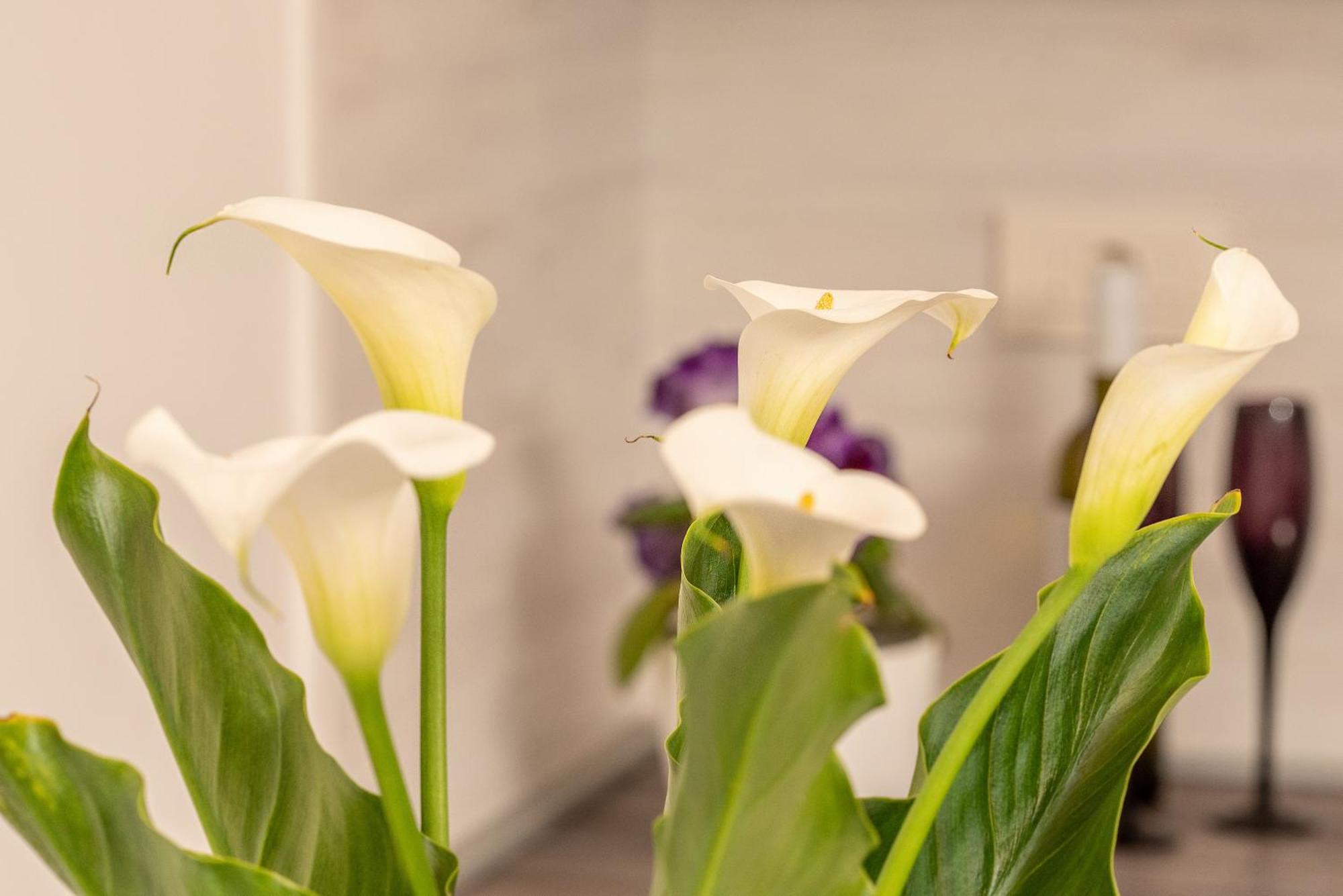 Oasis Of Peace And Relaxation Ii. Apartment Icici Bagian luar foto